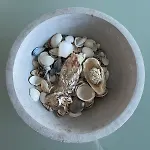 Julieze At Sea & Pool 奥斯滕德