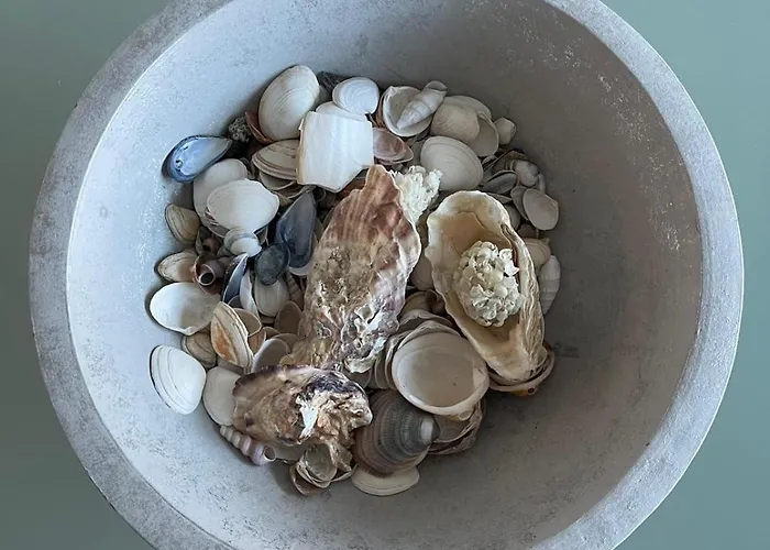 Julieze At Sea & Pool 奥斯滕德